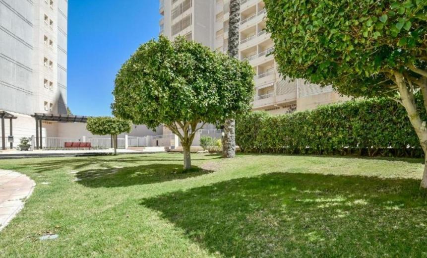 Homeincalpe Apolo XVII 1-14-41 Zewnętrze zdjęcie